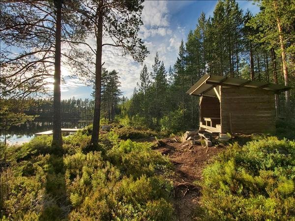 Aborrtjärn norra - Bild 3