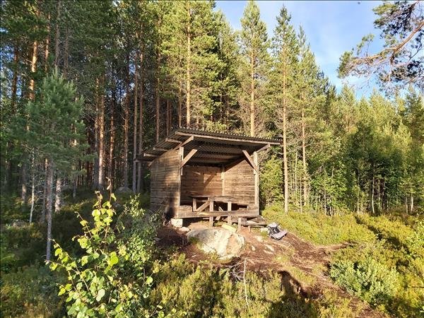 Aborrtjärn norra - Huvudbild