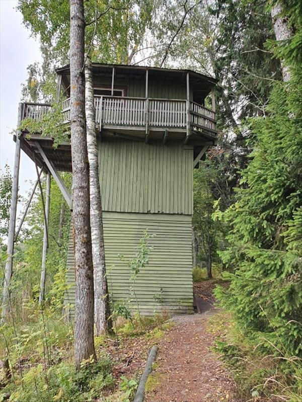 Ålsjönsnaturreservat, fågeltornet - Huvudbild