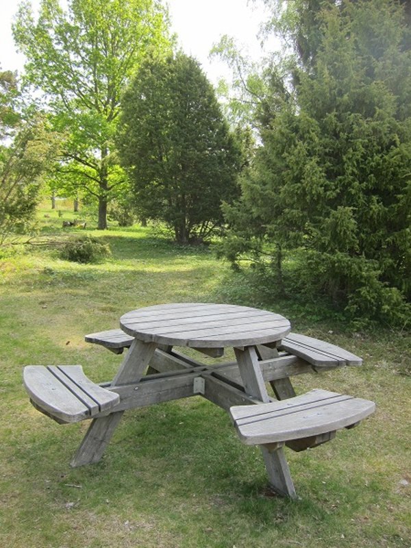 Angarnssjöängen, Skesta hage - Bild 3