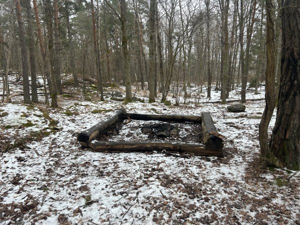 Baggenmossenskogen - Huvudbild