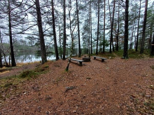 Bäsjöns Grillplats - Bild 1