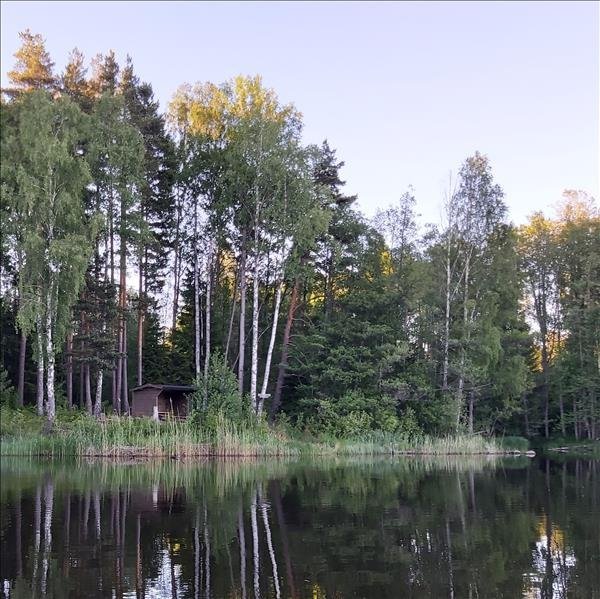 Bäverön (Fösholmen) - Bild 5