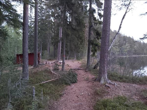 Björktjärn - Bild 1