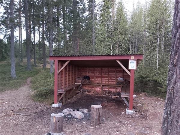 Björktjärn - Bild 2