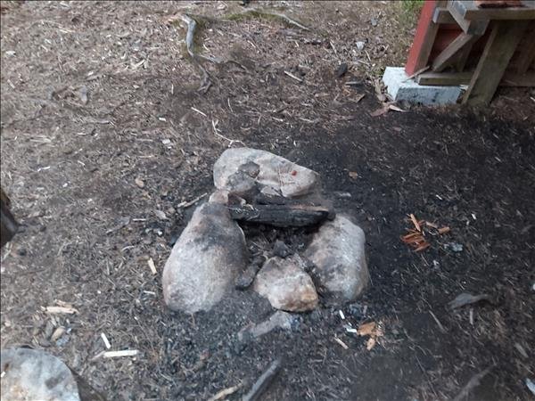 Björktjärn - Bild 3