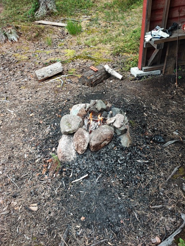 Björktjärn - Bild 4