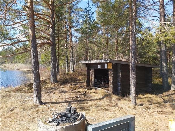 Björntjärn #1 - Bild 1