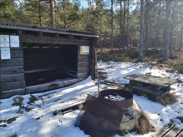 Björntjärn #3 - Bild 1