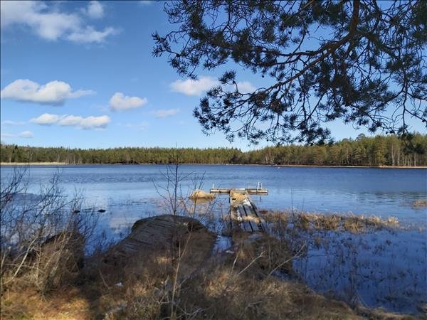 Björntjärn #6 - Bild 2