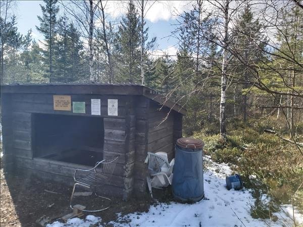 Björntjärn #6 - Huvudbild