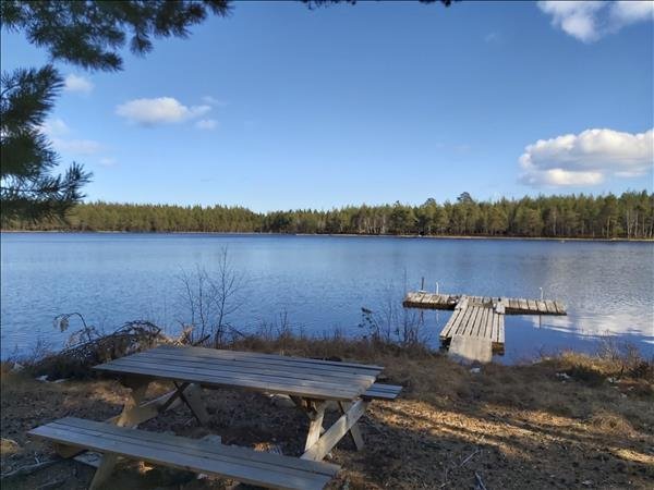 Björntjärn #7 - Huvudbild