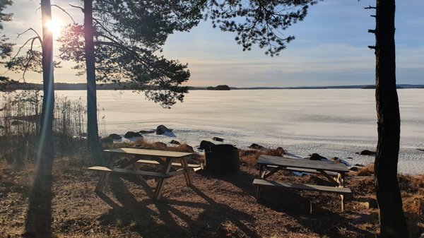 Björnungarna - Huvudbild