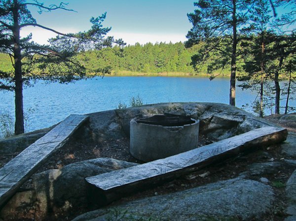 Bogesund, Dammstakärret - Bild 1