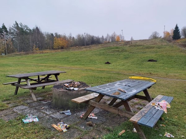 Bomhusbacken - Bild 1