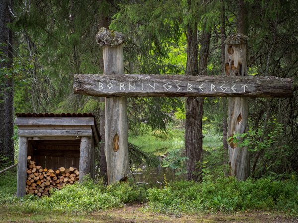 Börningsbergets skogsmuseum - Bild 2