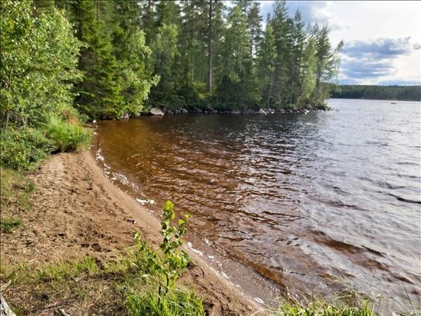 Borrsjön - Bild 3