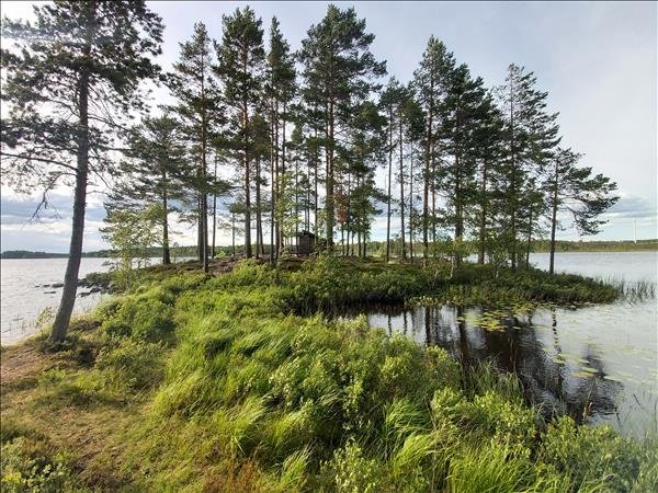Borrsjön - Huvudbild