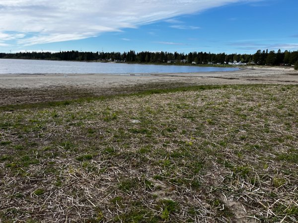 Brännäsets havsbad - Bild 2