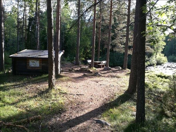 Brännsågen - Bild 1