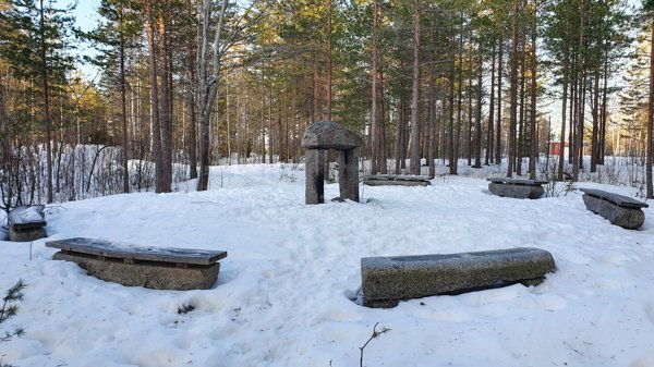 Bureplatsen Skogen - Huvudbild