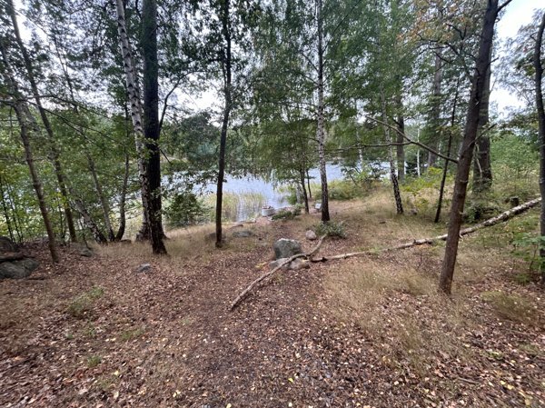Calles Klimp grillplats - Bild 3