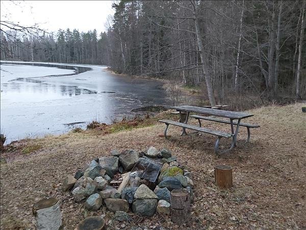 Dammen i Korså - Huvudbild