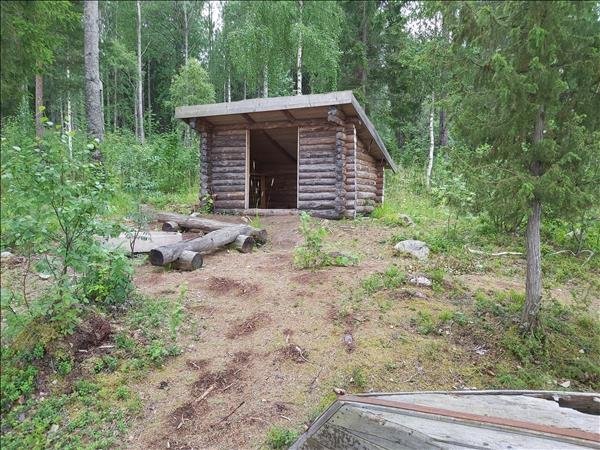 Dammsjöns gapskjul - Bild 1
