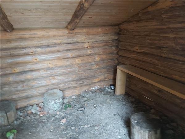 Dammsjöns gapskjul - Bild 3