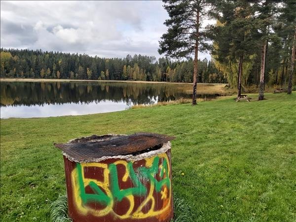 Dammyran - Huvudbild