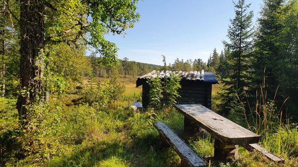 Dragbergstugan Vindskydd - Bild 3