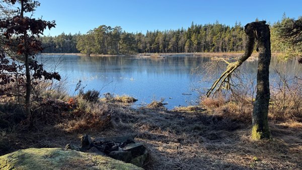 Ekelunds Gransjö - Bild 1