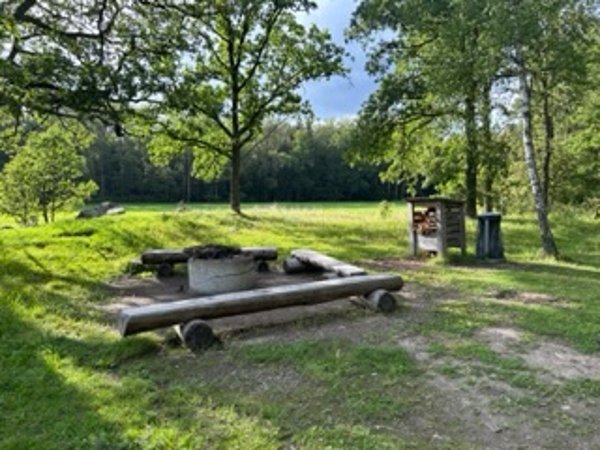 Eken Järvafältet - Bild 1