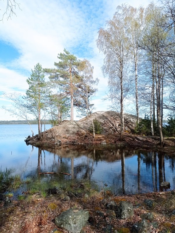 Eldplats Högbergsfältet - Bild 2