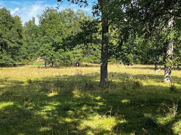 Eldstad, Väsby hage - Bild 3