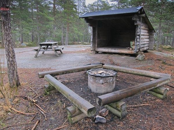 Fågelsången - Huvudbild