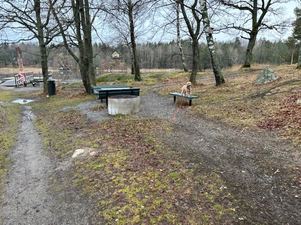 Fagersjö - Bild 3
