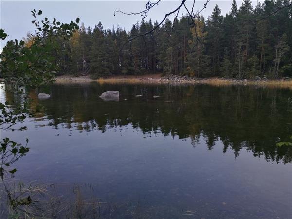 Finnskärsharen - Bild 1