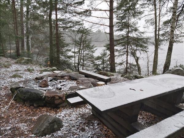 Fjällnora #1 - Bild 1