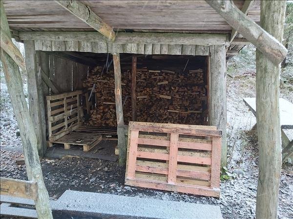 Fjällnora vid kolarkojan - Bild 2