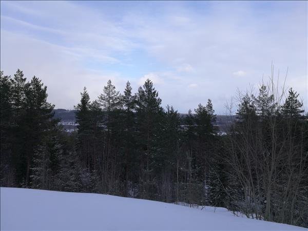 Fjällstugan - Bild 2