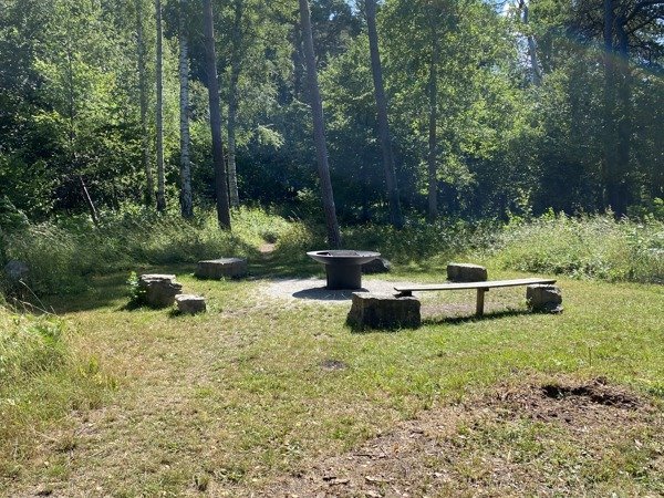 Furulundsskogen - Huvudbild