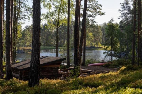 Glaskogen 9a - Bild 2