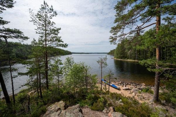 Glaskogen Knappstadsviken Vindskydd - Bild 3