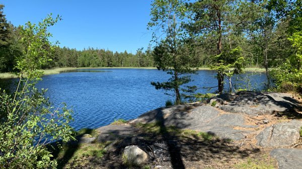 Grågåsen - Huvudbild