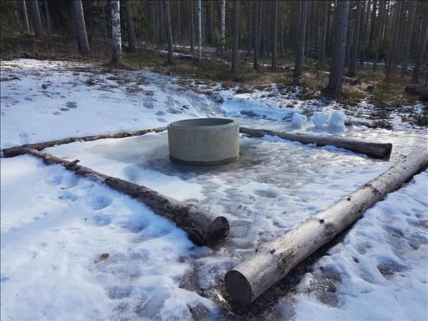 Grill vid Lidens skolskog - Bild 1