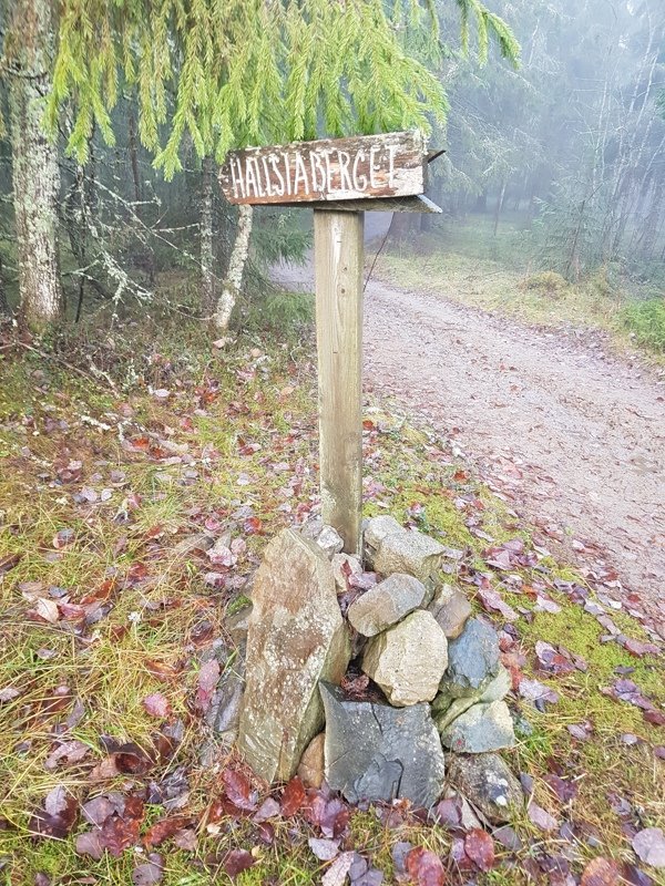 Hallstabergsstugan - Bild 15