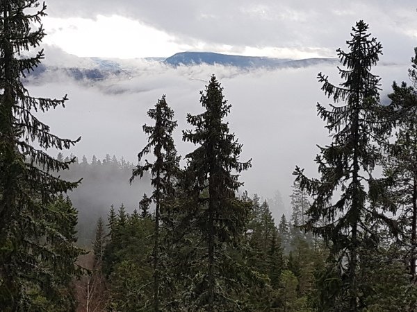Hallstabergsstugan - Bild 16