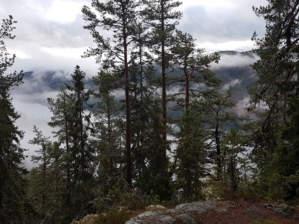 Hallstabergsstugan - Bild 7