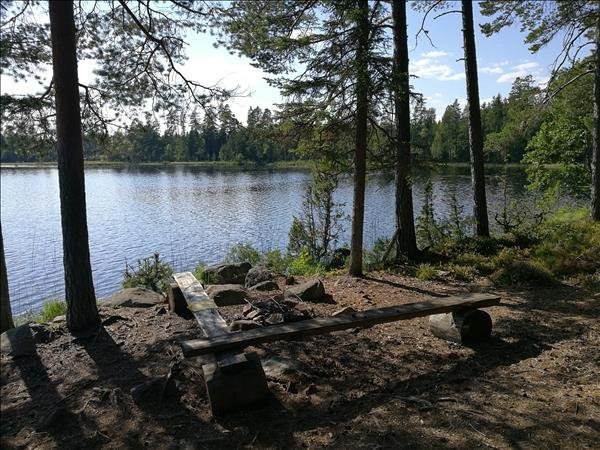 Hälltjärnsprojektet - Huvudbild